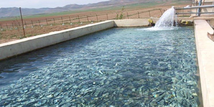 تولید بیش از ۶۵ میلیون قطعه بچه ماهی در استان اصفهان