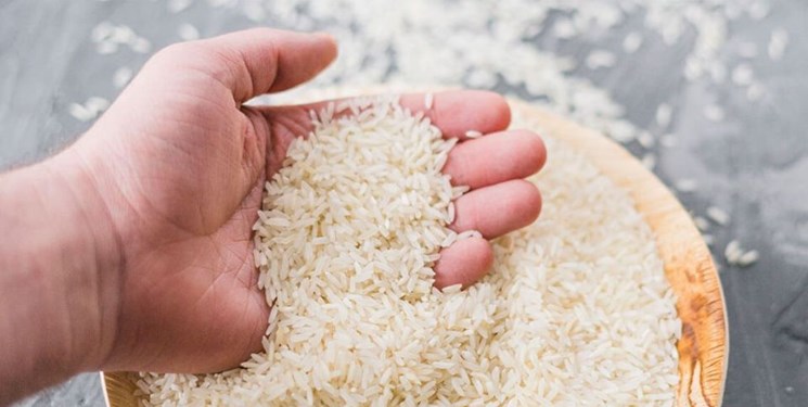 قیمت برنج ایرانی در سراشیبی قرار گرفت