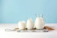 مواد غذایی مفید برای سلامت دندان‌ها