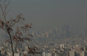 باید از مردم به خاطر عملکرد خود عذرخواهی کنیم