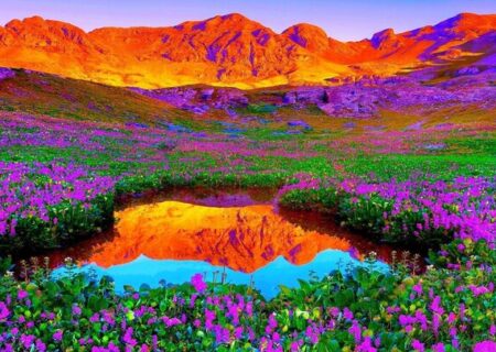 دره گل‌های جهان کجاست؟