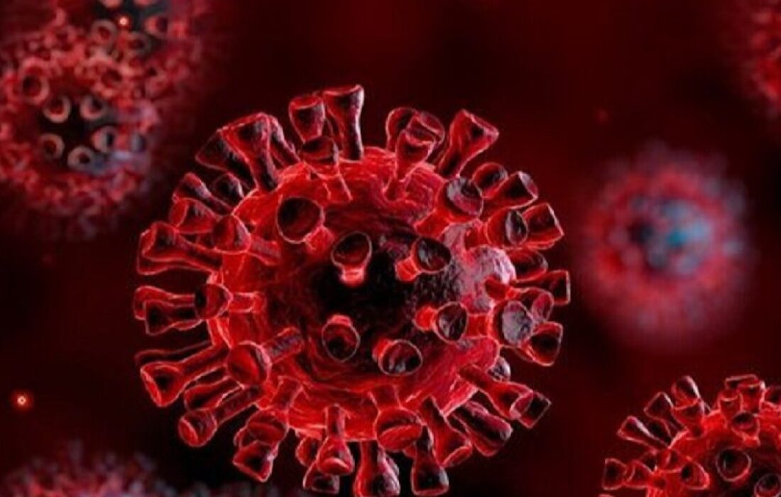 «نیپا» درحال حاضر دارو یا واکسنی ندارد