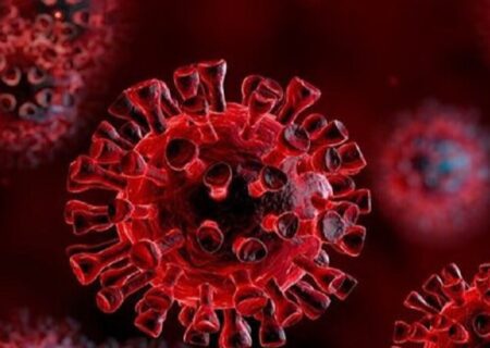 «نیپا» درحال حاضر دارو یا واکسنی ندارد