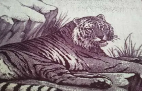 پتو پلنگی نمادی از فرهنگ ایرانی