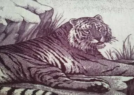 پتو پلنگی نمادی از فرهنگ ایرانی